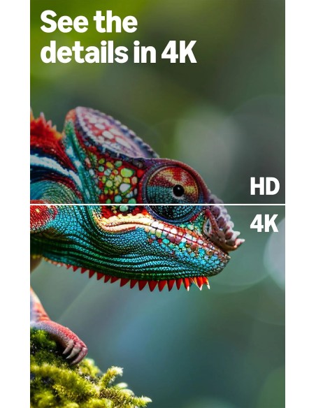 Amazon Ember 55" 4-Series 4K Fire TV with HDR10+ and Alexa Remote
